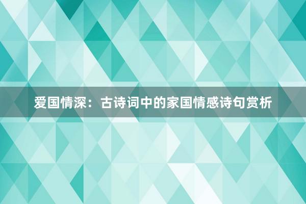 爱国情深：古诗词中的家国情感诗句赏析